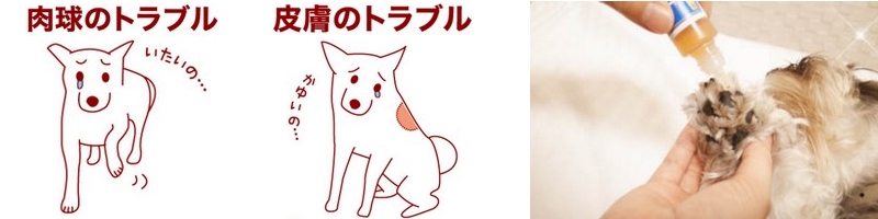 �p���t�F�m���G�b�Z���X���T�C�g